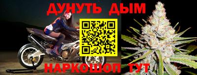прущие грибы Партизанск