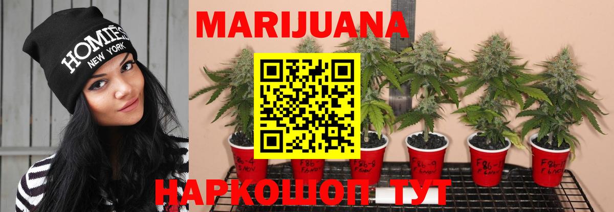 Шадринск  Марихуана VHQ  Марихуана VHQ  Конопля SATIVA & INDICA  Вход с VPN 
